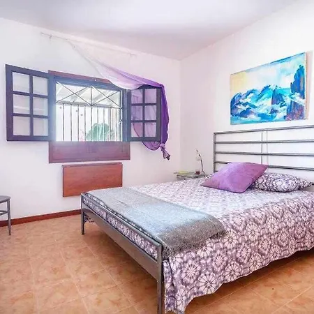 Summer Dreams House